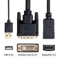 サンワサプライ  DVI-DisplayPort変換アダプタ（4K/30Hz） AD-DVDP01（直送品）