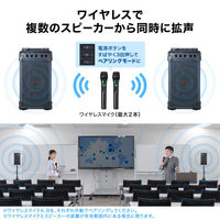 サンワサプライ  ワイヤレスマイク付き拡声器スピーカー（最大40W） MM-SPAMP21（直送品）