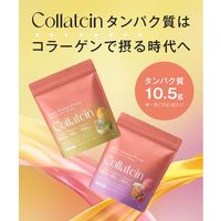 Collatein（コラテイン） コラーゲンプロテイン レモネード味 1袋（210g） I-ne コラーゲン由来のプロテイン