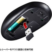 サンワサプライ 静音ワイヤレステンキーマウスセット NT-WL23SETBK 1個（直送品）