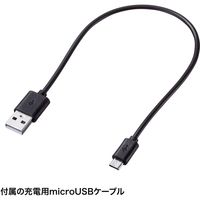 サンワサプライ 充電式極細タッチペン(ブラック) PDA-PEN47BK 1本