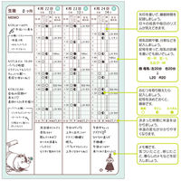 サンスター文具 育児ダイアリーA5 &mom ムーミン S2071991 1セット(3冊)（直送品）