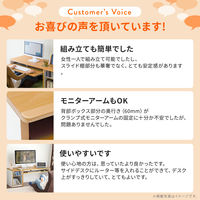 サンワサプライ パソコン ローデスク(120cm幅・収納サイドデスク付・木目調) 100-DESK038 1台（直送品）