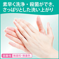 花王 ソフティ薬用泡ハンドウォッシュ コンパクトオートディスペンサー用カートリッジ梱 1箱（6個入）