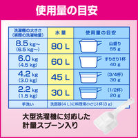 ビック 除菌プラス 2.5kg 1箱（6個入） 花王