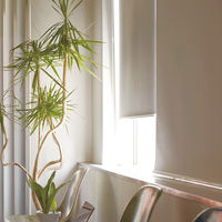 【1cm単位】高機能「遮光」「遮熱」ロールスクリーン幅156cmx高さ240cm jia4162-jia_w156h240 トーソー（直送品）