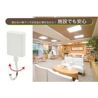 マグエックス マグネット抗菌フラットフック(M) MFH-3W 1個