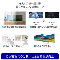 EIZO 37.5インチウルトラワイドモニタ- EV3895-BK 上下昇降機能 1台