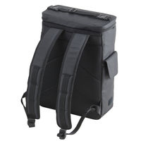 サンワサプライ FARVIS 17Lリュック 2-300 1個