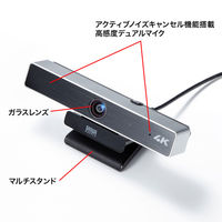 サンワサプライ 会議用ワイドレンズカメラ CMS-V52S 1個