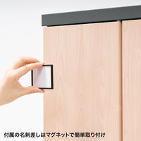 サンワサプライ 縦型パーソナルロッカー2列タイプ PLK-TWT2H120LM 1台（直送品）