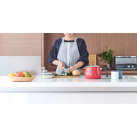 和平フレイズ ToMay IH対応マルチポットL(レッド) SRA-9474 1個（直送品）