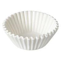 オークス ろ過パウダーセット 300g 60回分 Leye ロカポット専用 487960 1個（直送品）