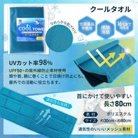 【デラックス】熱中症対策キットDX (レッド) クーラーバッグに入った応急処置セット(水分補給/塩分/保存水/防災/非常用)（直送品）