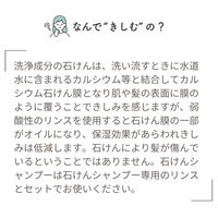 パックスナチュロン　シャンプー泡状ポンプ式Ｎ　500mL　1個　太陽油脂　せっけんシャンプー　無添加　天然由来100%