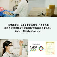 パックスナチュロン　リンス詰替Ｎ　500mL　1セット(4個)　太陽油脂　せっけんシャンプー専用　トリートメント　無添加　天然由来100%