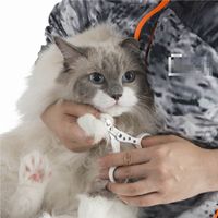 ストレスなくスパッと切れる猫用爪切り 1個 猫壱