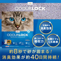 猫砂 オードロック 無香料 超高品質なネコ砂 8秒で固まる 消臭効果約40日 6kg 1袋