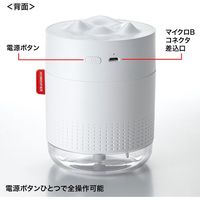 サンワサプライ USB加湿器(LEDライト付き) ホワイト色 USB-TOY100W 1個（直送品）