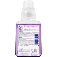 ナノックス ワン（NANOX one）ニオイ専用 本体 380g 1個 洗濯 洗剤 ライオン