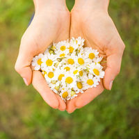 ダヴ(Dove) ボディウォッシュ(ボディソープ) ミセラークレンズ 詰め替え 360g 2個