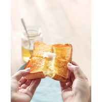 パン冷凍保存袋 食パン 冷凍 ホームメイドクッキング共同企画 1個（2枚入） マーナ