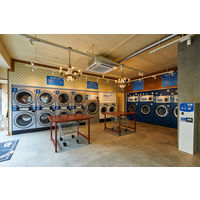 フレディレック New ランドリーバスケット ミニ 1個