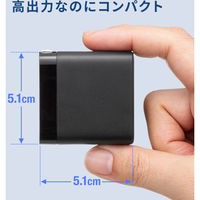 サンワサプライ  USB PD対応AC充電器（PD65W・C×3＋A×1） ACA-PD107BK（直送品）