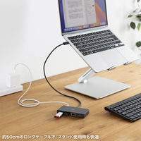 サンワサプライ  USB Type-Cドッキングステーション USB-DKM10BK（直送品）