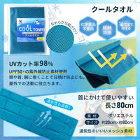 熱中症対策キット 9点 シルバー 1セット 熱中症対策用品 暑さ対策 クーラーバッグ コンパクト 瞬間冷却剤 ゼリー ドリンク（直送品）