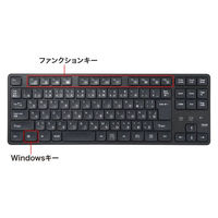 サンワサプライ ワイヤレス静音キーボード(2.4GHzワイヤレス・テンキーなし) SKB-WL38BK 1個（わけあり品）