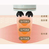 BRUNO EMSスカルプ&ボディケア(グリーン) BOE148-GR 1個