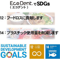 歯科医推奨 エコデント ライスレジン歯ブラシ ふつう 大人・子供向け 6色アソート 1セット（12本入）ラピス 限定（わけあり品）