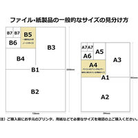 コクヨ　クリヤーブック（ウェーブカット・固定式）　B4タテ40ポケット　青　ブルー　ラ-T574B　1冊（わけあり品）