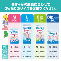 あんしんGenki！パンツ BIGより大きい（13～28kg）1パック（24枚入）ふわもちタッチ 男女共用 アイリスオーヤマ