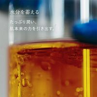 N organic（エヌオーガニック） Basic バランシング ローション 100ml シロク