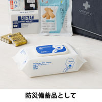 口腔ケアウエットシート 無香料 ノンアルコール ふた付 厚手 80枚入 1個 歯みがきティッシュ ポップアップ 介護 防災 オリジナル