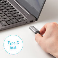 サンワサプライ  USB Type-C LAN変換ケーブル（Gigabit対応・2m） KB-SL6CLAN02BK（直送品）