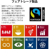 【店舗用品】 服部　フェアトレードコットンフラットトート　TF-0001　1枚　　（直送品）