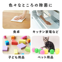 クイックルジョアン ノンアルコール除菌ウェットシート 本体（70枚入）1個 除菌シート 花王