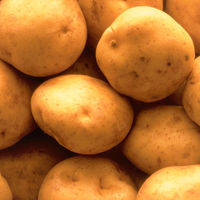 カルビー　ポテトチップスビッグバッグコンソメパンチ　160g　6袋