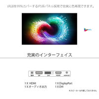 JAPANNEXT 23.8インチ ワイド液晶モニター JN-IPS2380FLWQHD