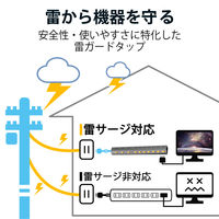 延長コード 電源タップ コンセント 2.5m 2ピン 10個口 個別スイッチ 雷ガード 黒 ECT-1625BK エレコム 1個