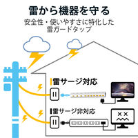 延長コード 電源タップ 2.5m 10個口 個別スイッチ 雷ガード ほこり防止 白 T-K7A-21025WH エレコム 1個
