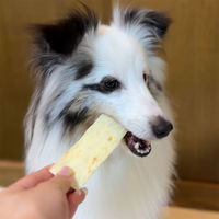 ペティオ 素材そのまま 天然牛皮とササミの歯みがきガム シート 小型犬～超大型犬用 75g 1袋 犬用 おやつ