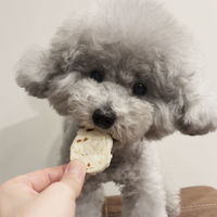 ペティオ 素材そのまま 天然牛皮とササミの歯みがきガム チップス 75g 1袋 犬用 おやつ