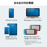 サンワサプライ USB TypeーC 拡張アダプタ(アダプタタイプ・PD対応) AD-ALCCPD01 1個