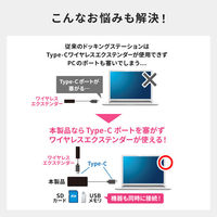 サンワサプライ USB TypeーC ドッキングステーション USB-DKM5BKN 1個