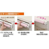 ナプコインテリア シングルロールスクリーン マグネットタイプ プル式 ソレイユ 幅750×高さ1500mm ライトベージュ 1本（直送品）