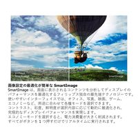 フィリップス 22.5インチ液晶モニター 230S8QHSB/11 1台